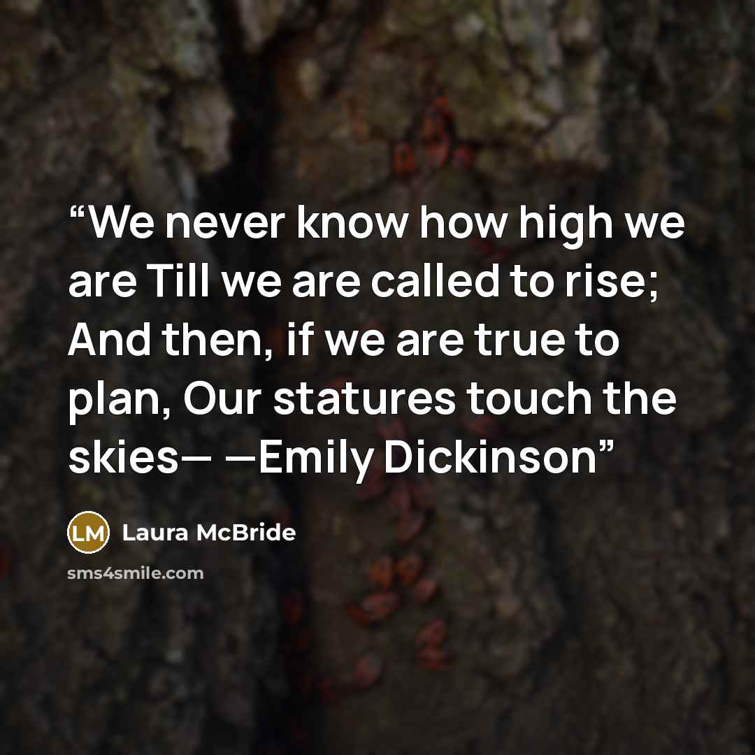 “We never know how high we are Till we are called to rise; And then, if we are true to plan, Our statures touch the skies— —Emily Dickinson” quote by Laura McBride