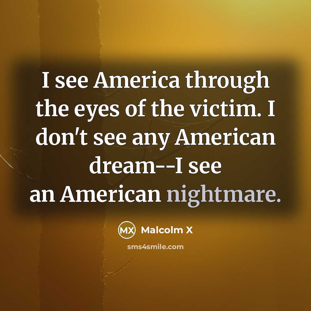 “I see America through the eyes of the victim. I…” quote by Malcolm X