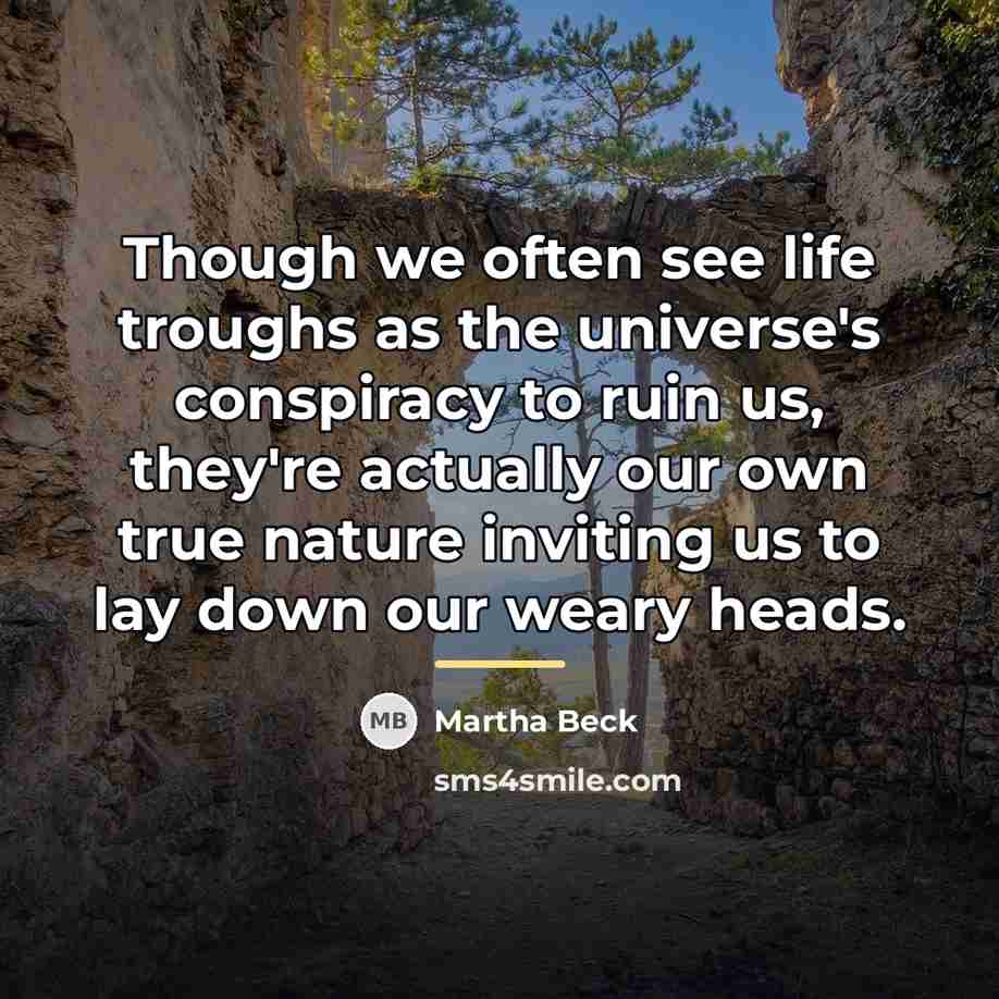 “Though we often see life troughs as the universe's conspiracy…” quote by Martha Beck