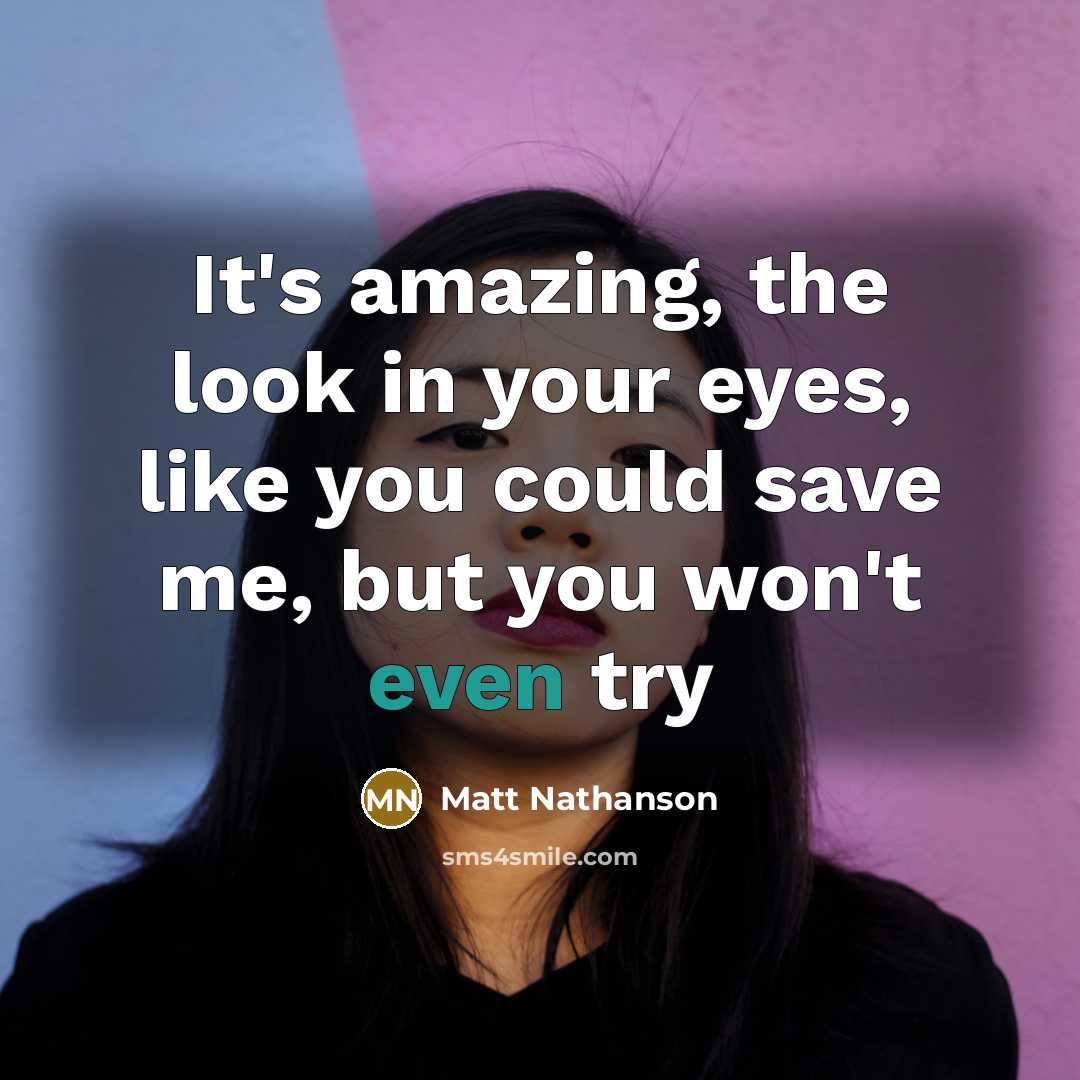 “It's amazing, the look in your eyes, like you could…” quote by Matt Nathanson