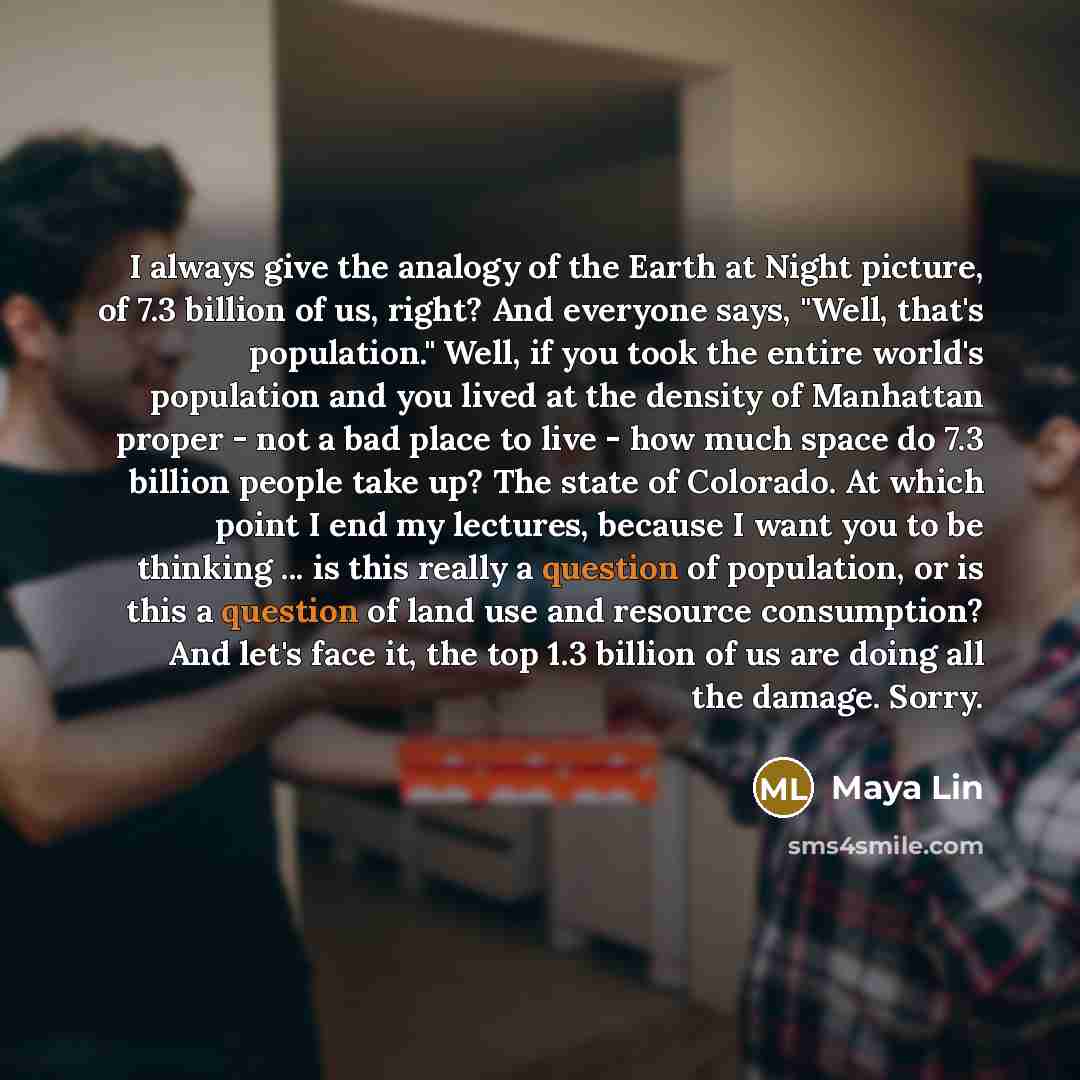 “I always give the analogy of the Earth at Night…” quote by Maya Lin
