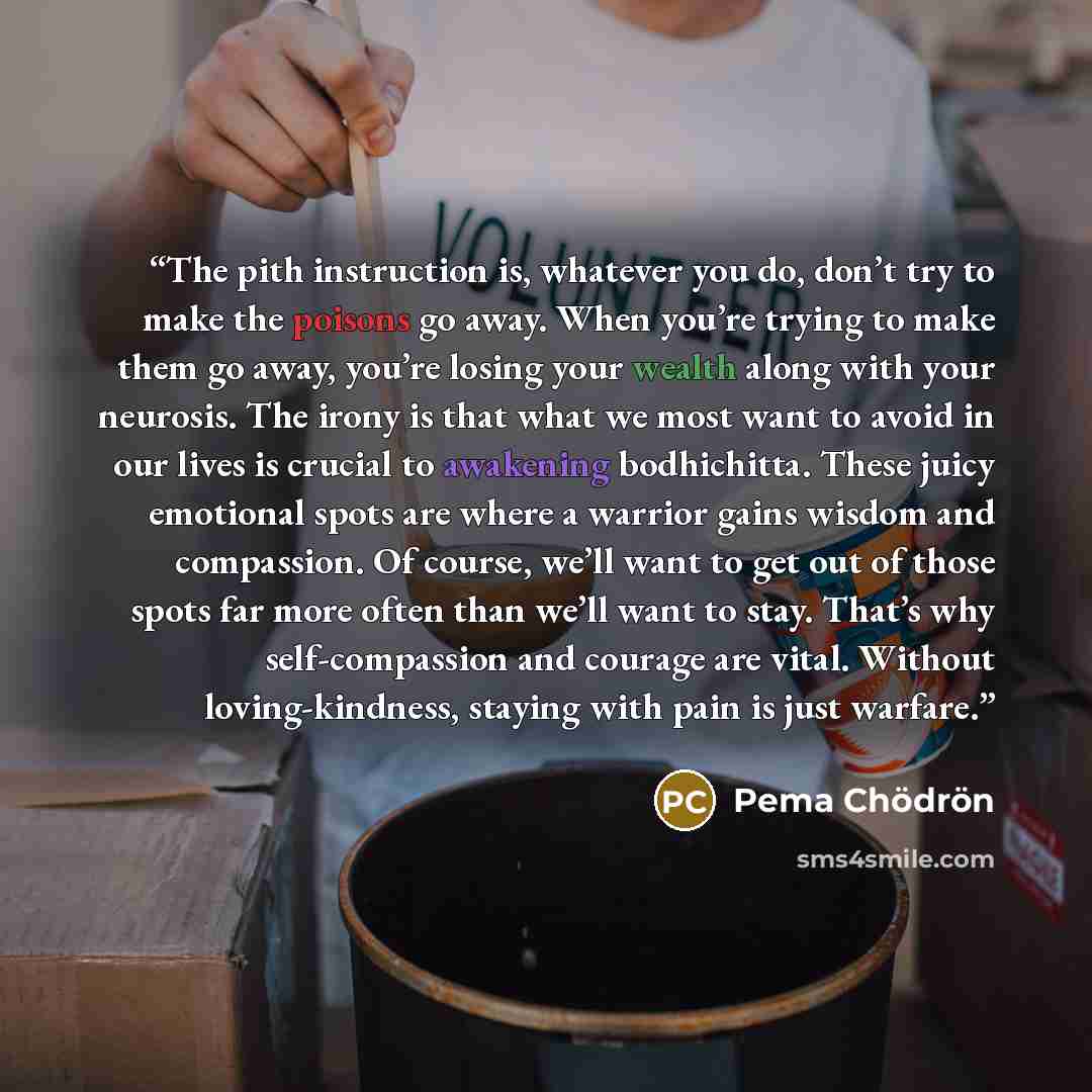 “The pith instruction is, whatever you do, don’t try to make the poisons go away. When you’re trying to make them go away, you’re losing your wealth along with your neurosis. The irony is that what we most want to avoid in our lives is crucial to awakening bodhichitta. These juicy emotional spots…” quote by Pema Chödrön