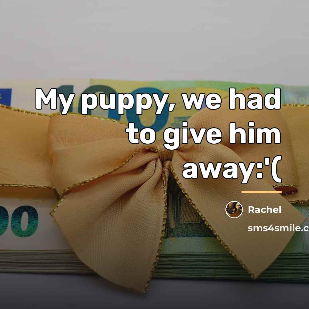 “My puppy, we had to give him away:'(…” quote by Rachel