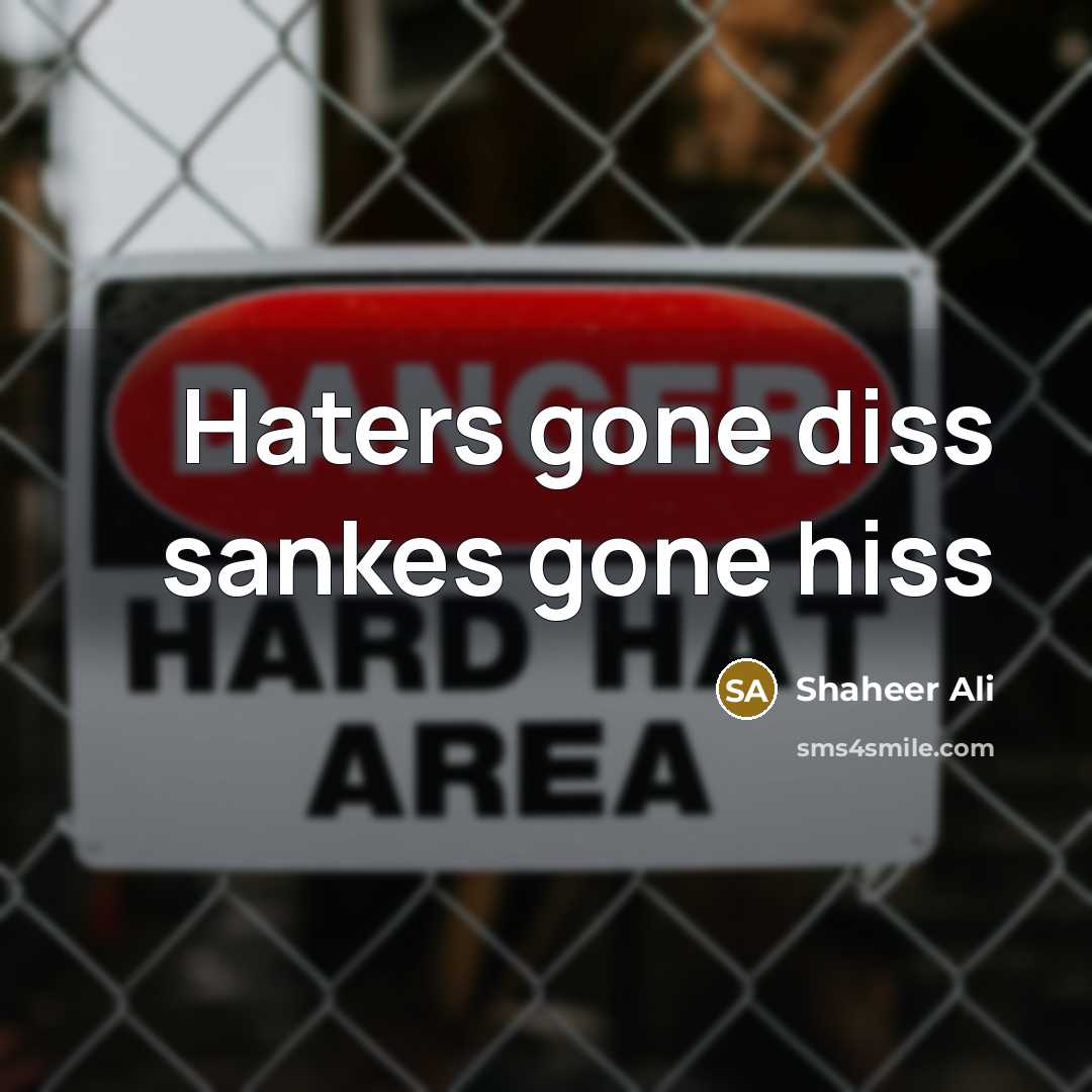 “Haters gone diss sankes gone hiss…” quote by Shaheer Ali
