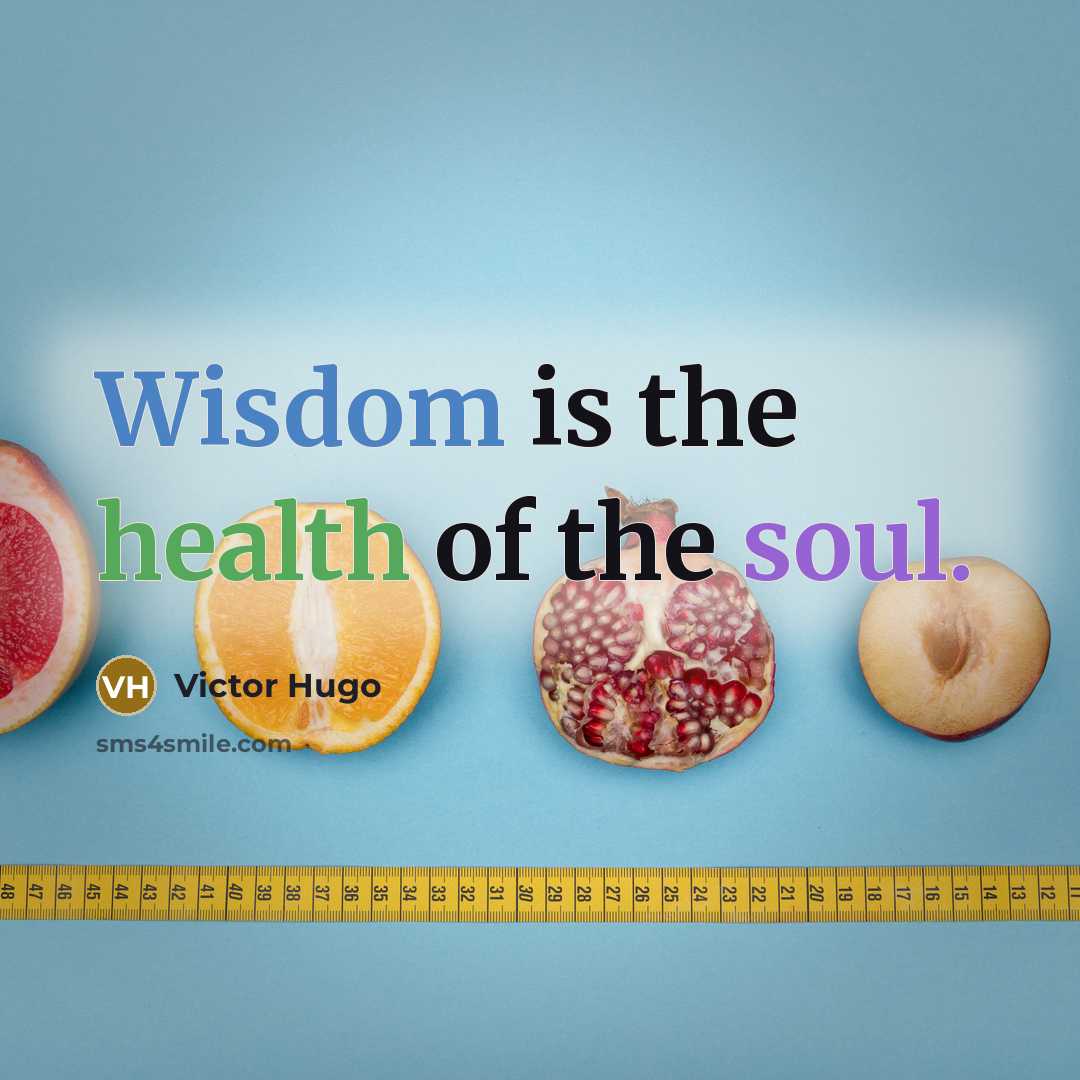 “Wisdom is the health of the soul.…” quote by Victor Hugo