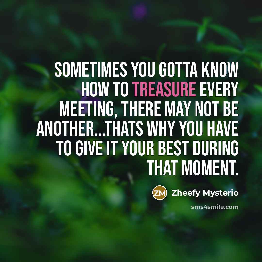 “Sometimes you gotta know how to treasure every meeting, there…” quote by Zheefy Mysterio