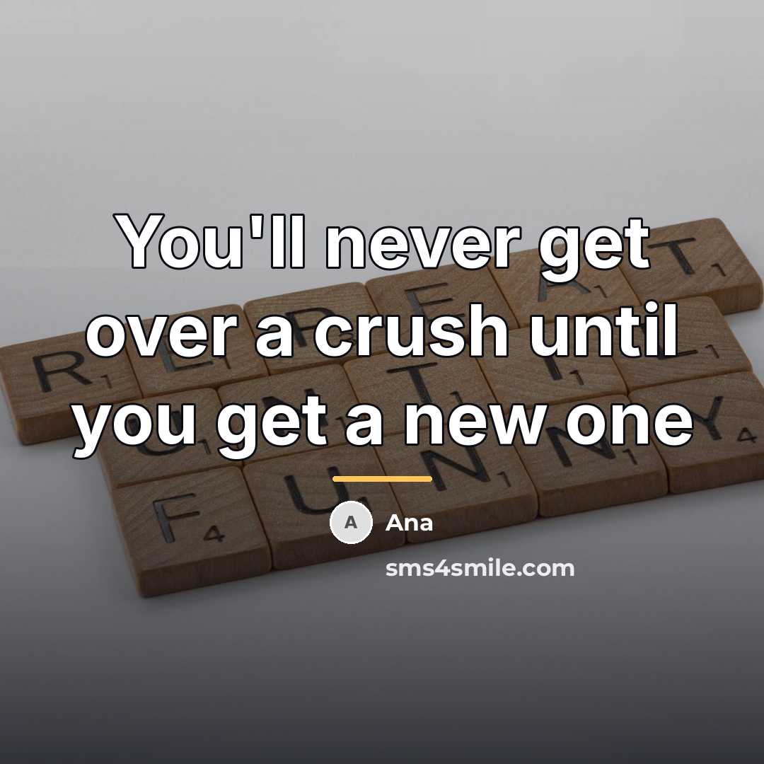 “You'll never get over a crush until you get a…” quote by Ana