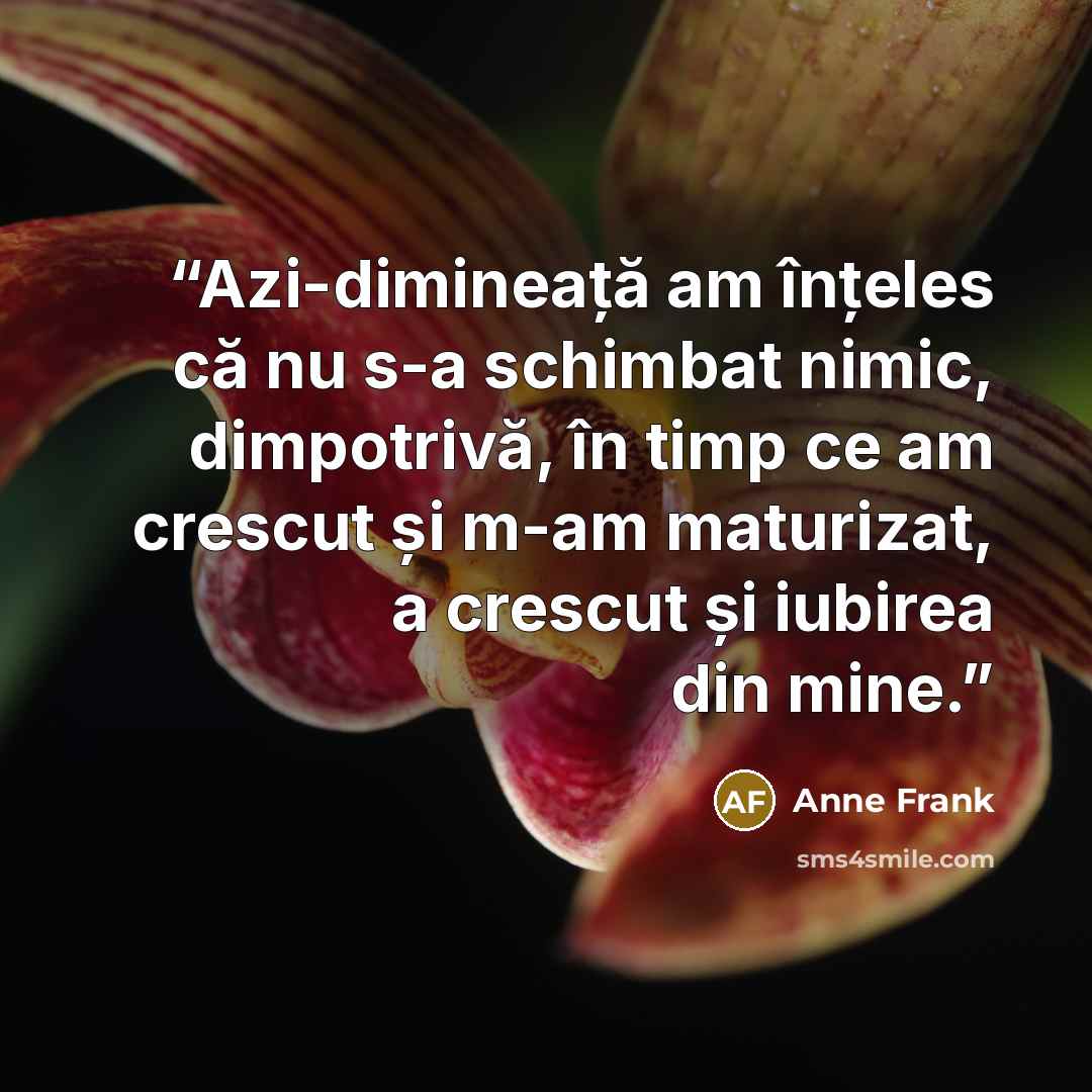 “Azi-dimineață am înțeles că nu s-a schimbat nimic, dimpotrivă, în timp ce am crescut și m-am maturizat, a crescut și iubirea din mine.” quote by Anne Frank