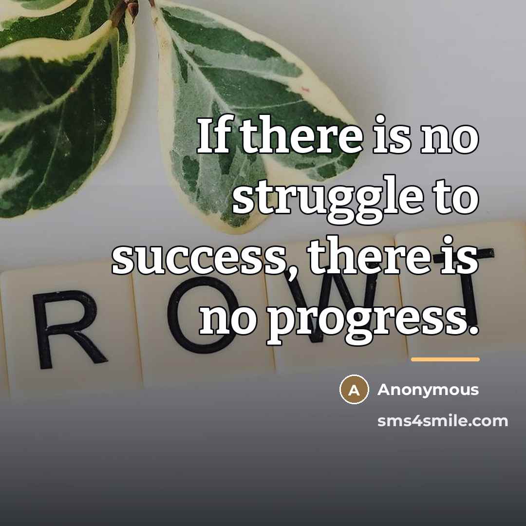 “If there is no struggle to success, there is no…” quote by Anonymous