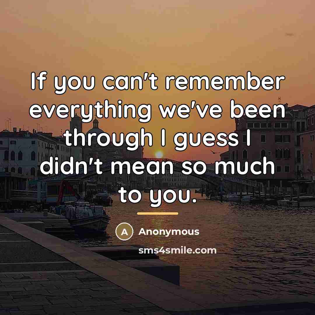 “If you can't remember everything we've been through I guess…” quote by Anonymous