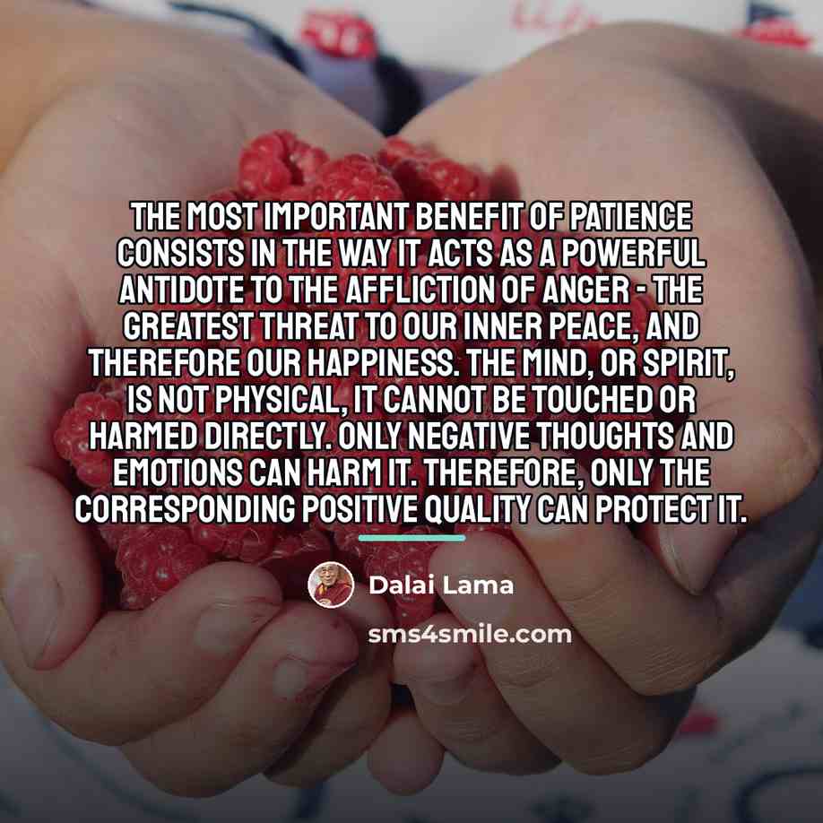 “The most important benefit of patience consists in the way…” quote by Dalai Lama