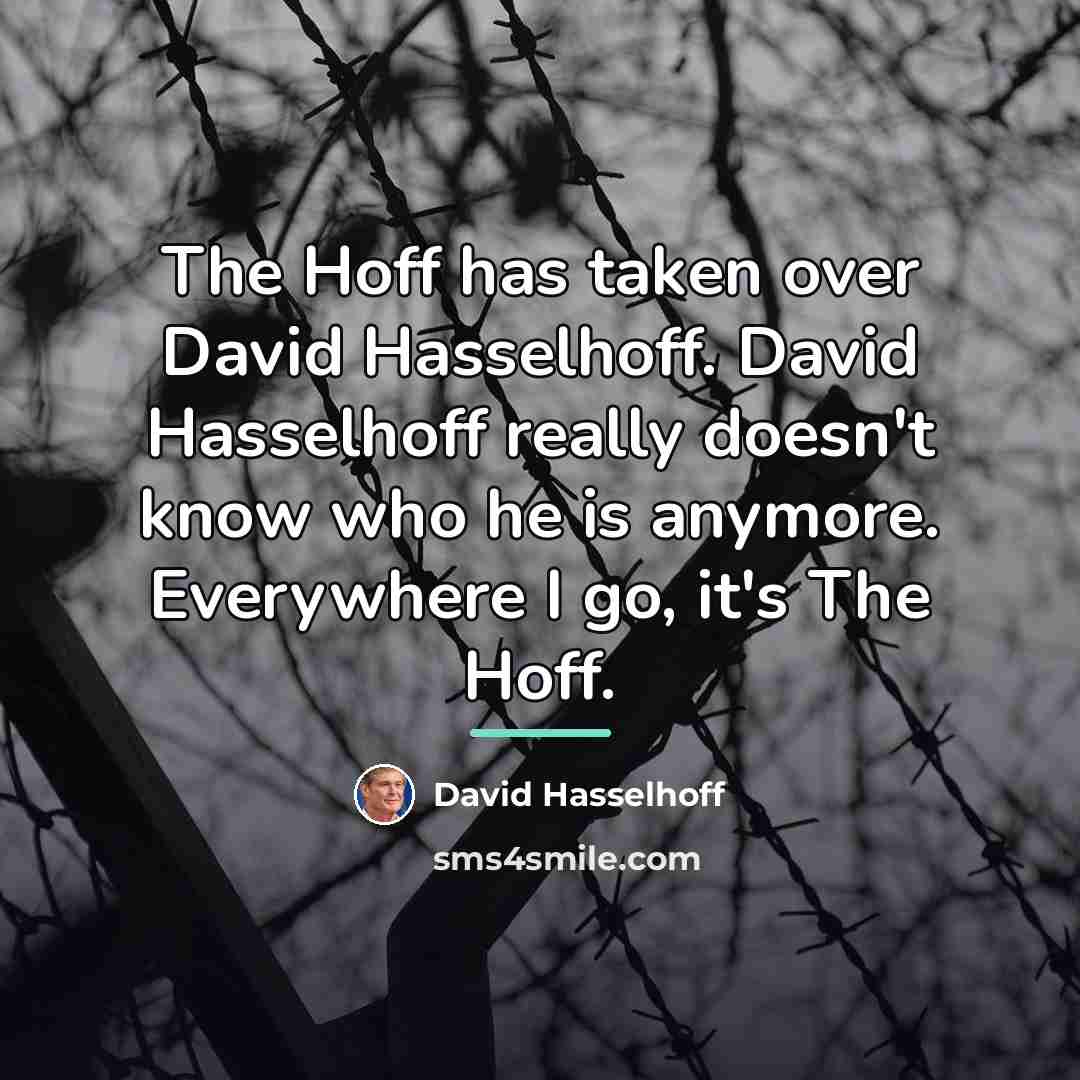 “The Hoff has taken over David Hasselhoff. David Hasselhoff really…” quote by David Hasselhoff