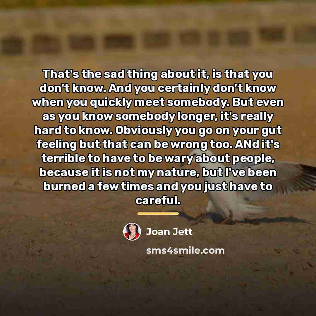 “That's the sad thing about it, is that you don't…” quote by Joan Jett
