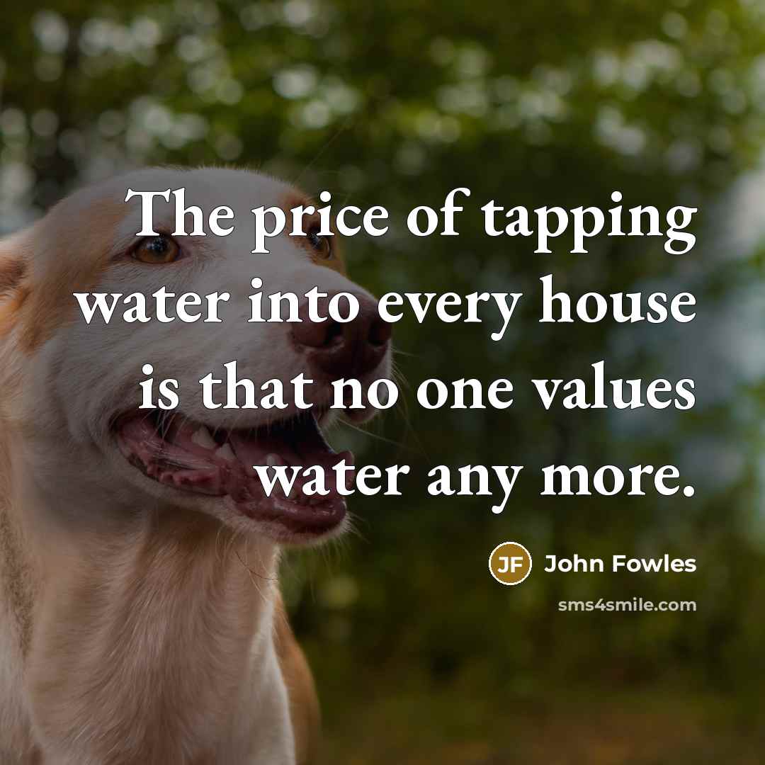 “The price of tapping water into every house is that…” quote by John Fowles