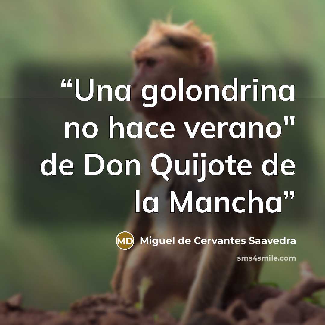 “Una golondrina no hace verano" de Don Quijote de la Mancha” quote by Miguel de Cervantes Saavedra