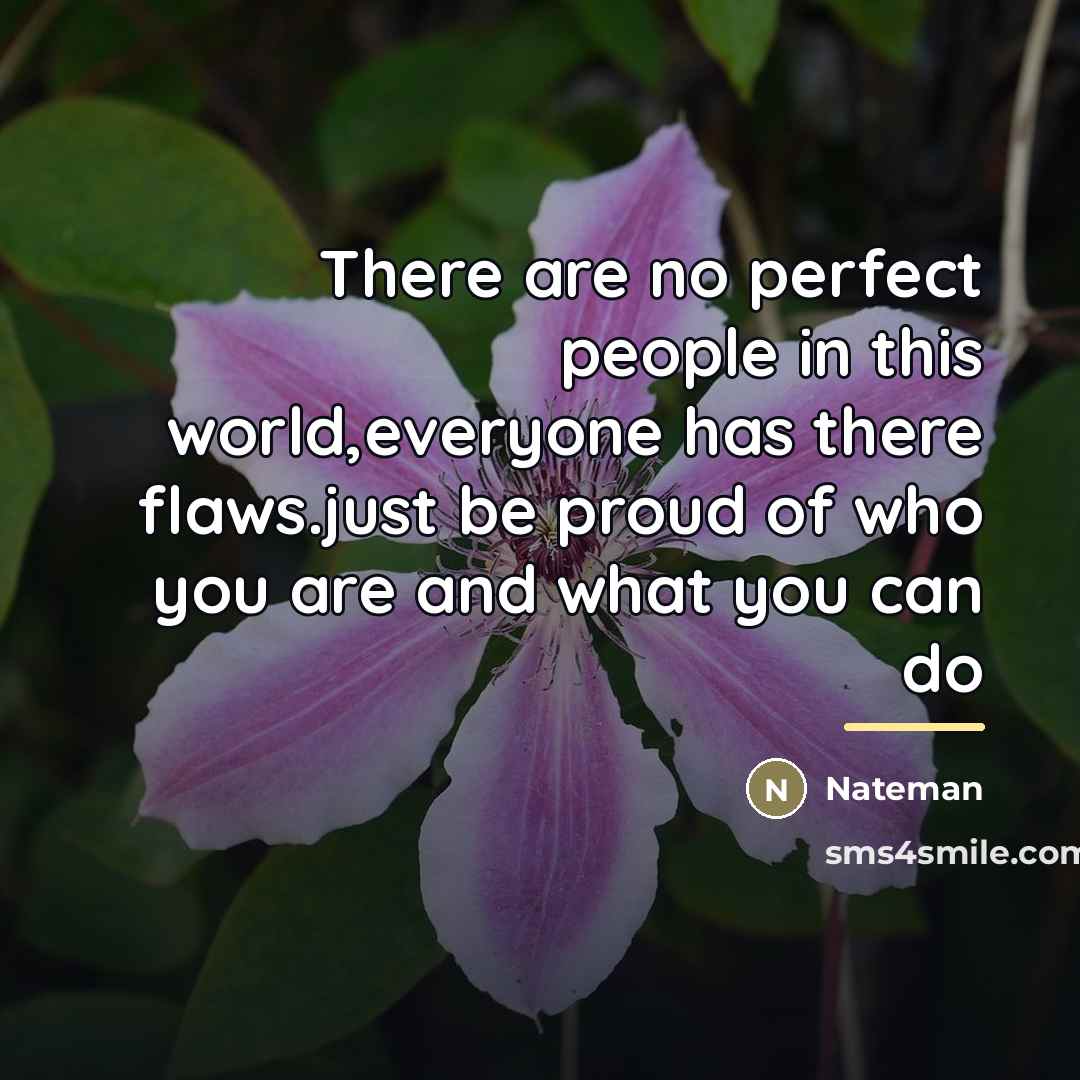 “There are no perfect people in this world,everyone has there…” quote by Nateman