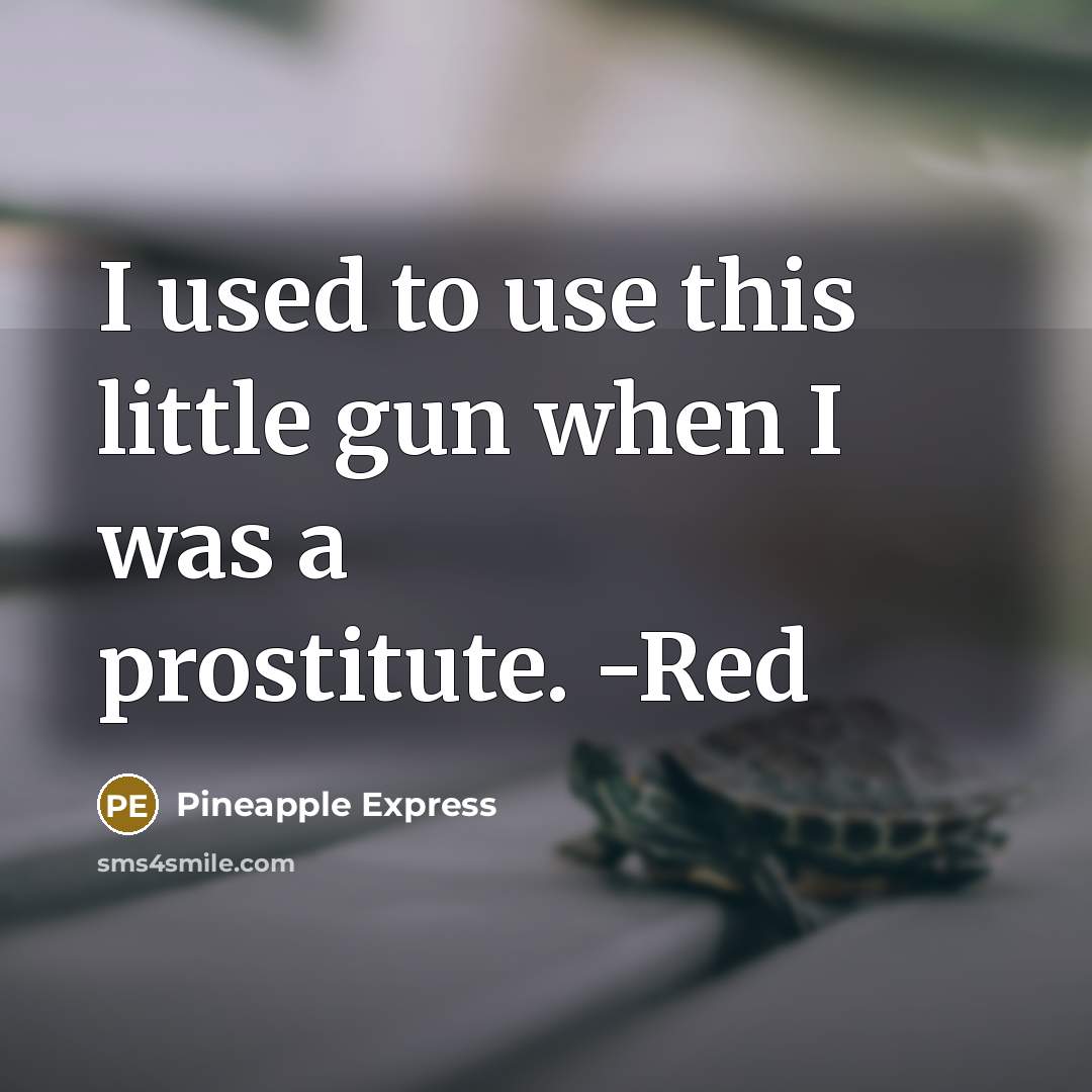 “I used to use this little gun when I was a prostitute. -Red” quote by Pineapple Express