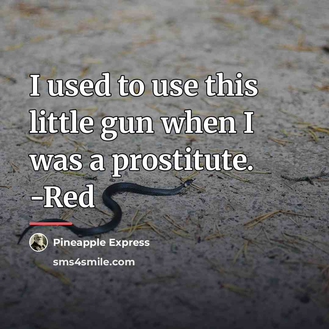 “I used to use this little gun when I was…” quote by Pineapple Express