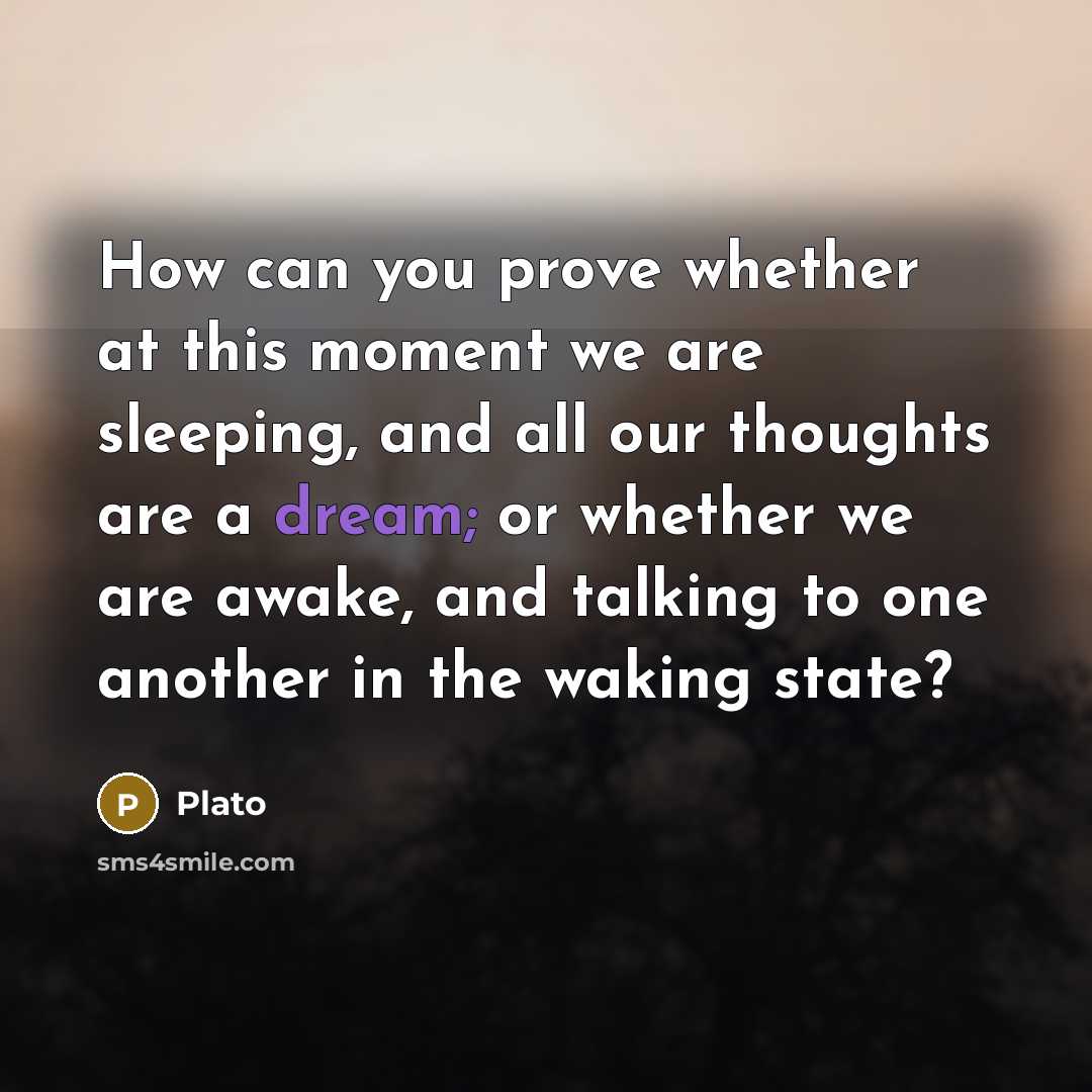 “How can you prove whether at this moment we are…” quote by Plato