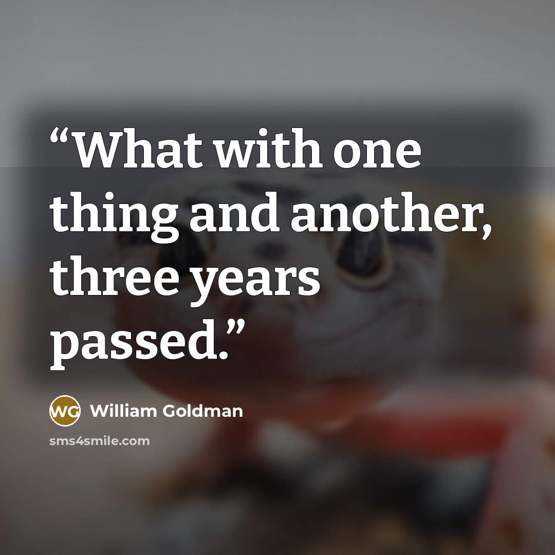 “What with one thing and another, three years passed.” quote by William Goldman
