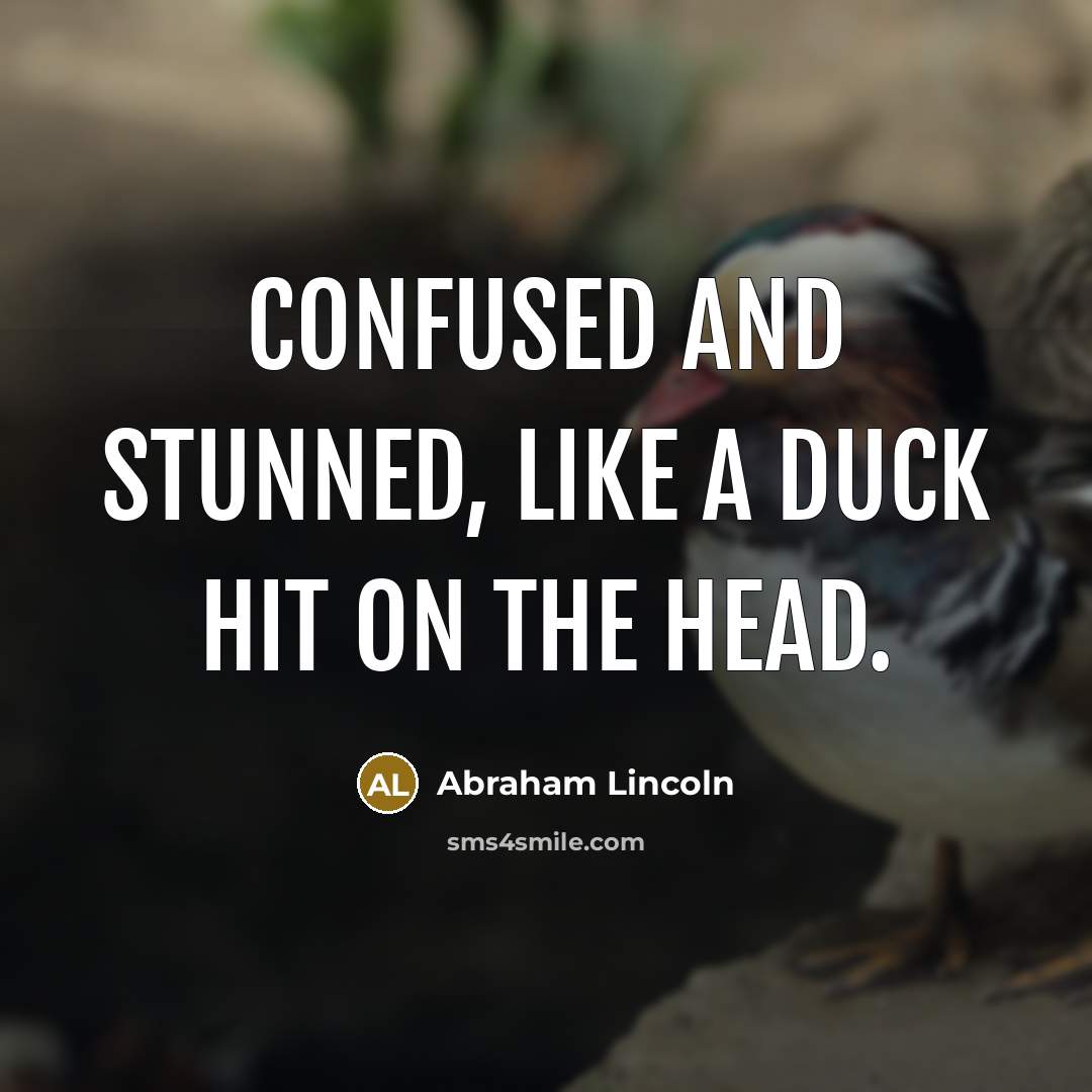 “confused and Stunned, like a duck hit on the head.…” quote by Abraham Lincoln