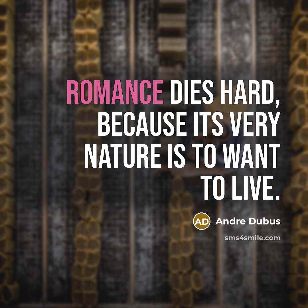 “Romance dies hard, because its very nature is to want…” quote by Andre Dubus