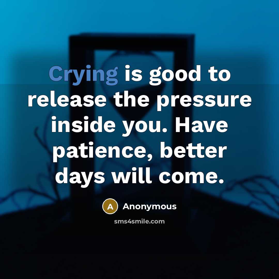 “Crying is good to release the pressure inside you. Have patience, better days will come.” quote by Anonymous