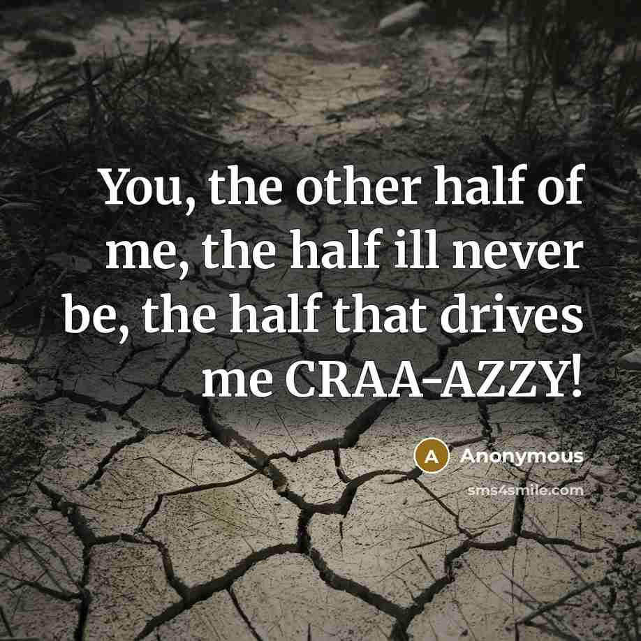 “You, the other half of me, the half ill never be, the half that drives me CRAA-AZZY!” quote by Anonymous