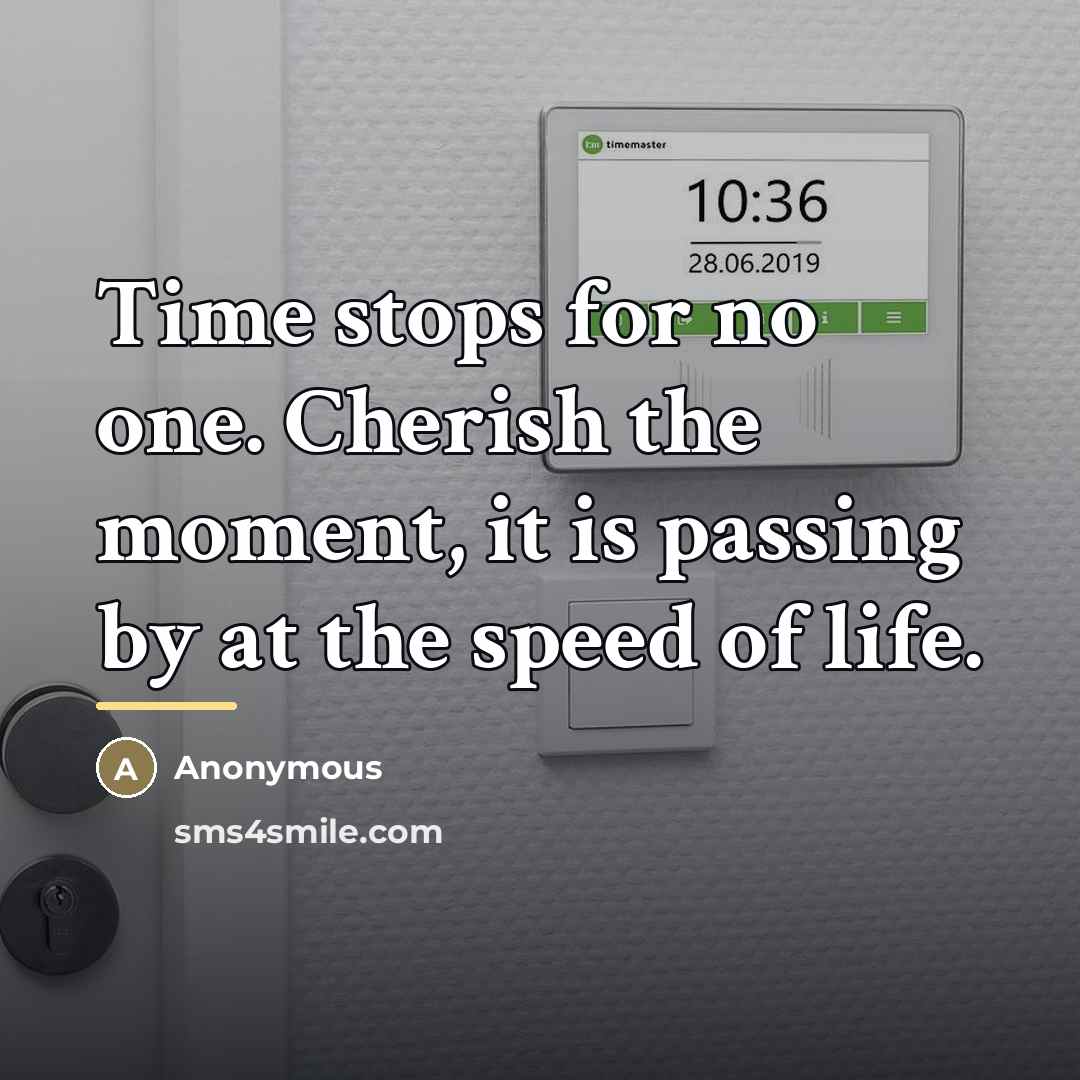 “Time stops for no one. Cherish the moment, it is…” quote by Anonymous
