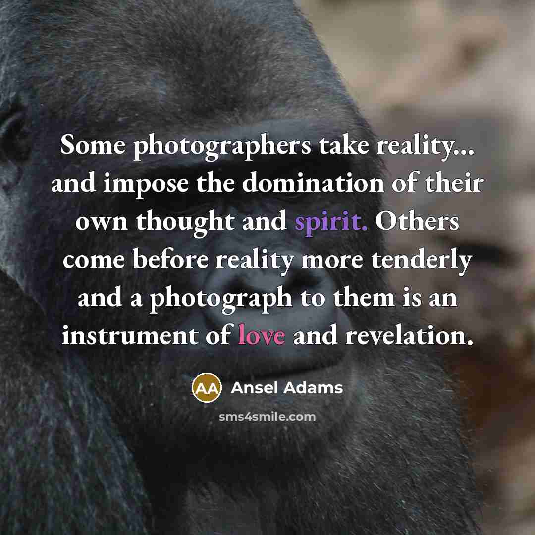“Some photographers take reality... and impose the domination of their…” quote by Ansel Adams