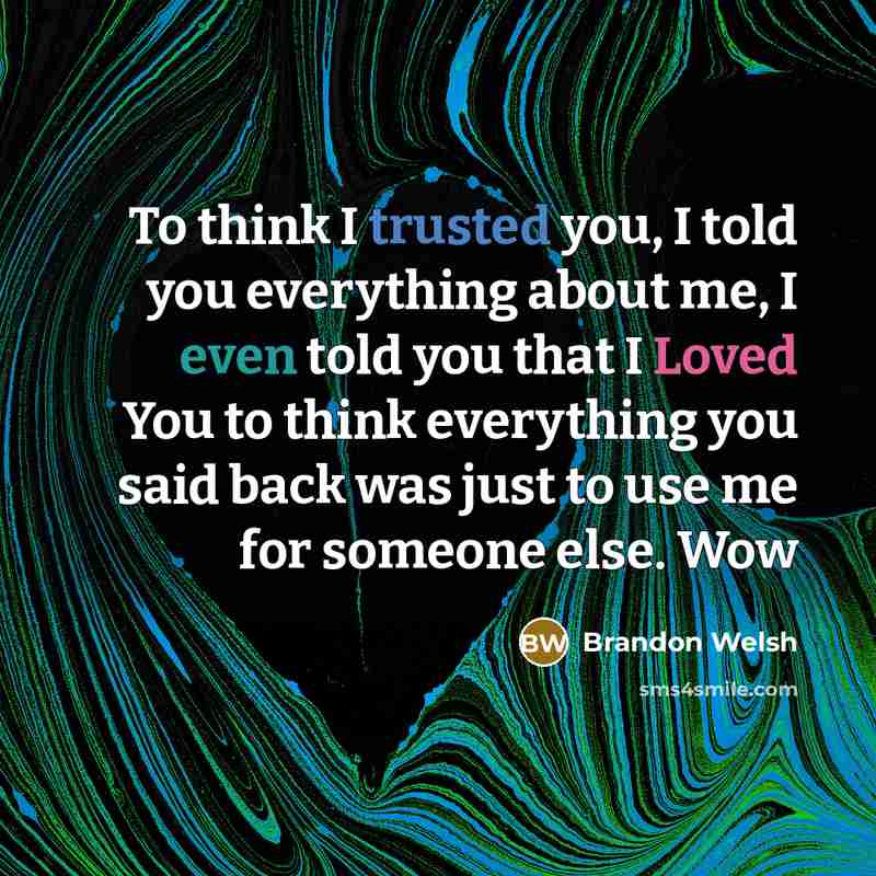 “To think I trusted you, I told you everything about…” quote by Brandon Welsh