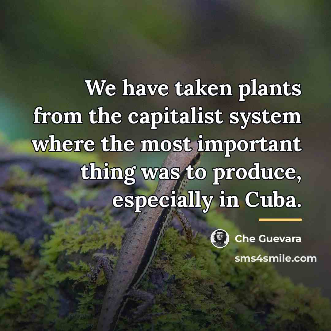 “We have taken plants from the capitalist system where the…” quote by Che Guevara