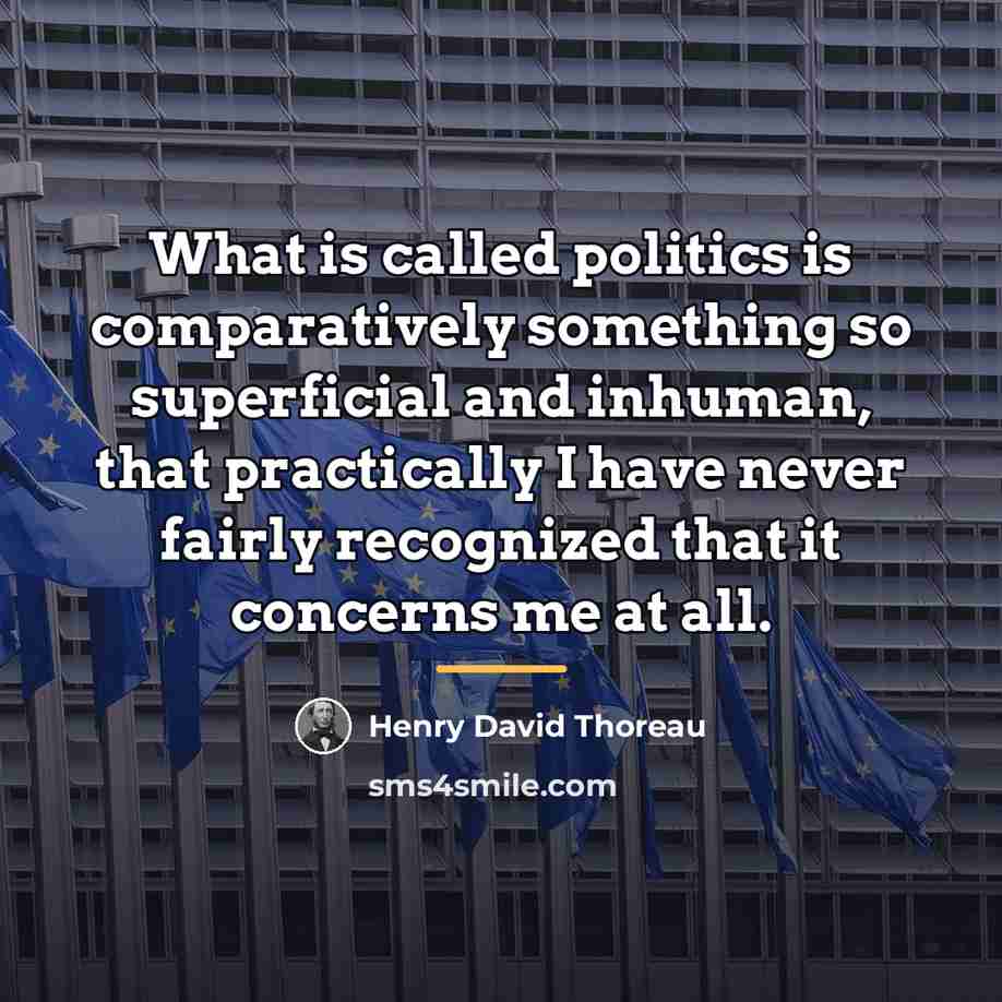 “What is called politics is comparatively something so superficial and…” quote by Henry David Thoreau