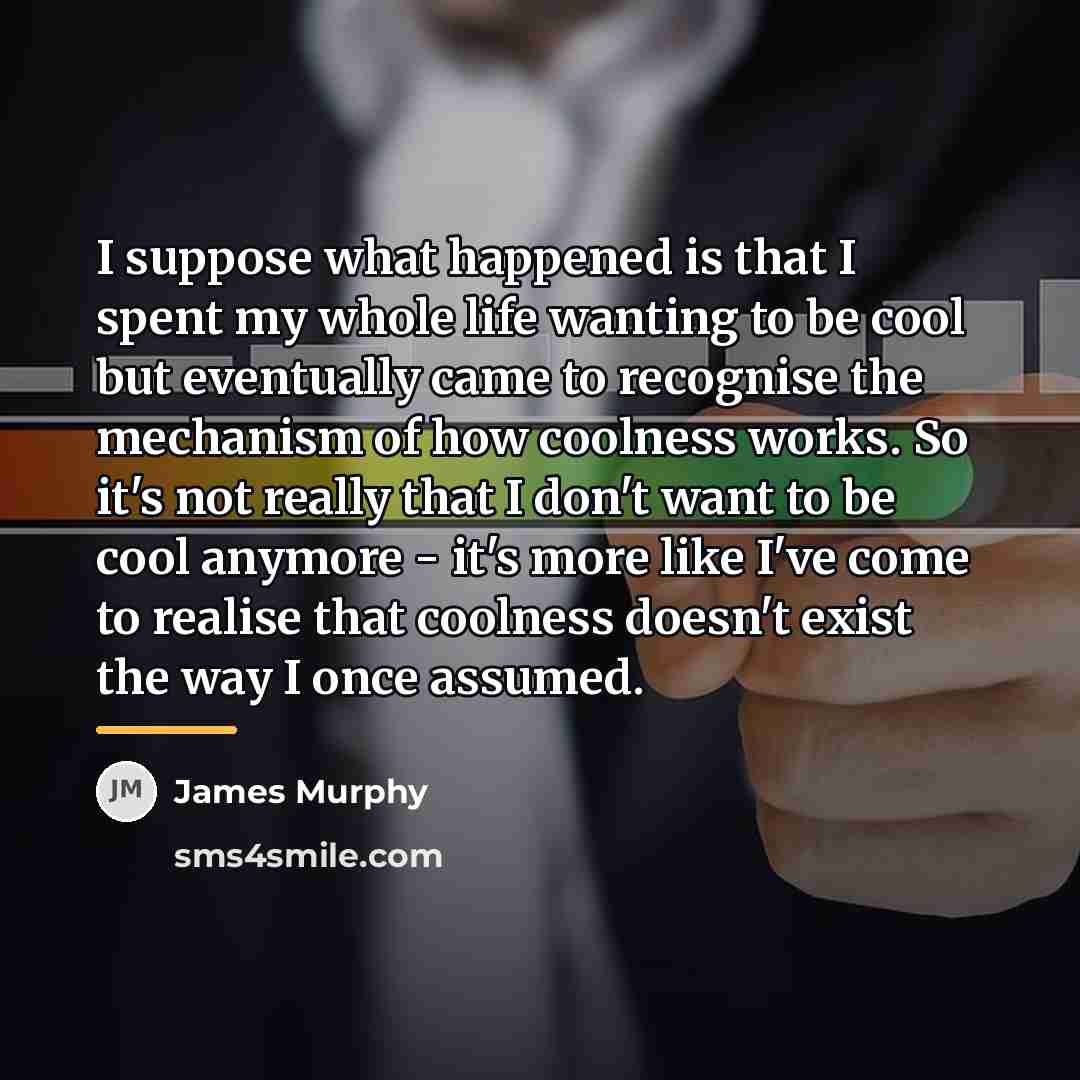 “I suppose what happened is that I spent my whole…” quote by James Murphy