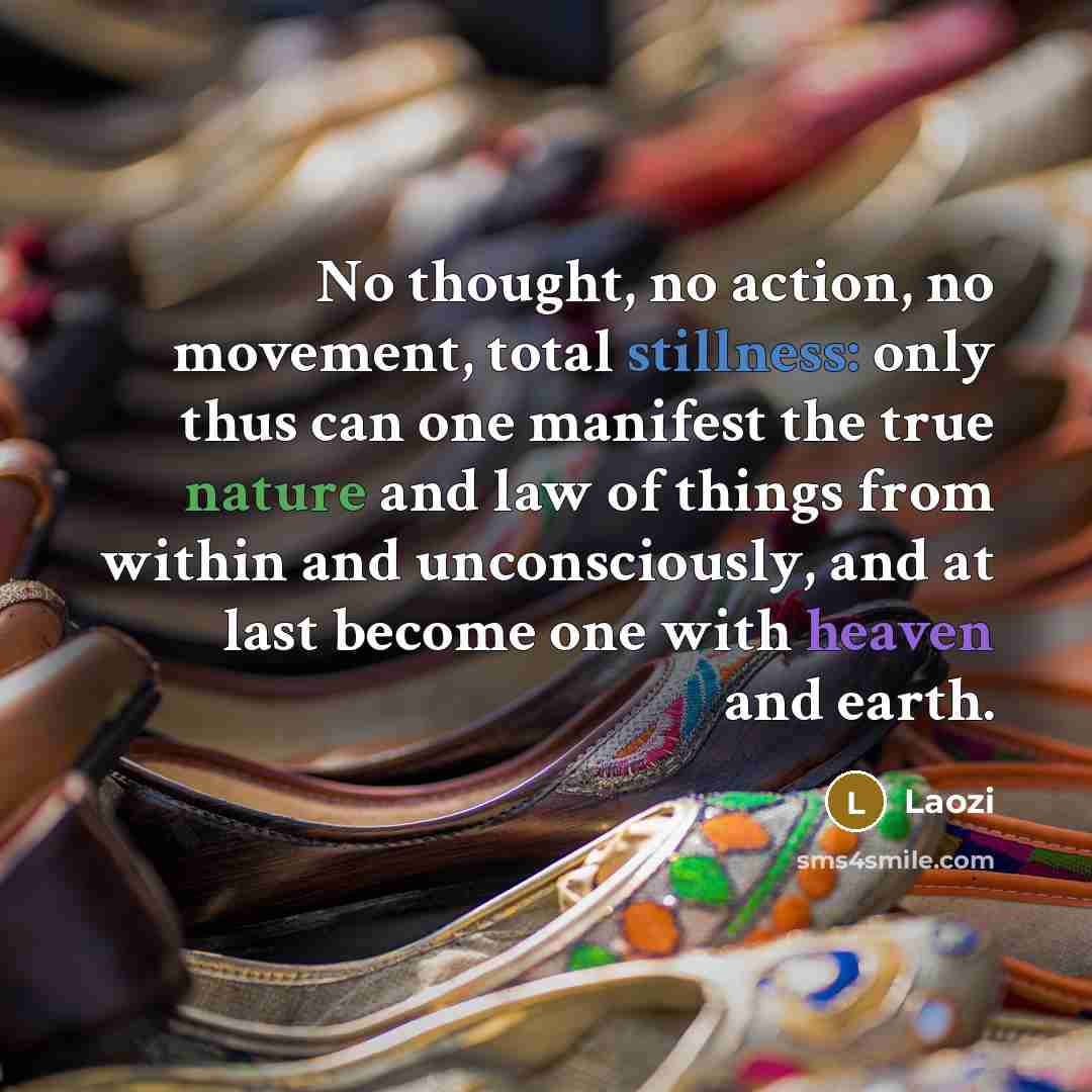 “No thought, no action, no movement, total stillness: only thus…” quote by Laozi