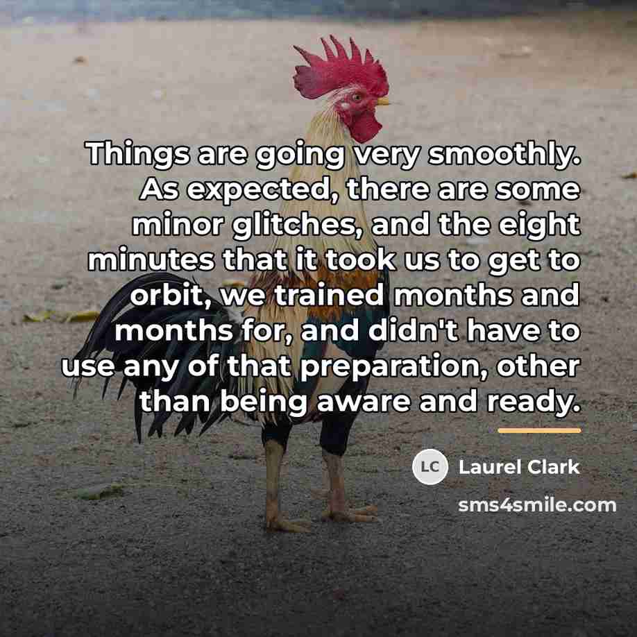 “Things are going very smoothly. As expected, there are some…” quote by Laurel Clark