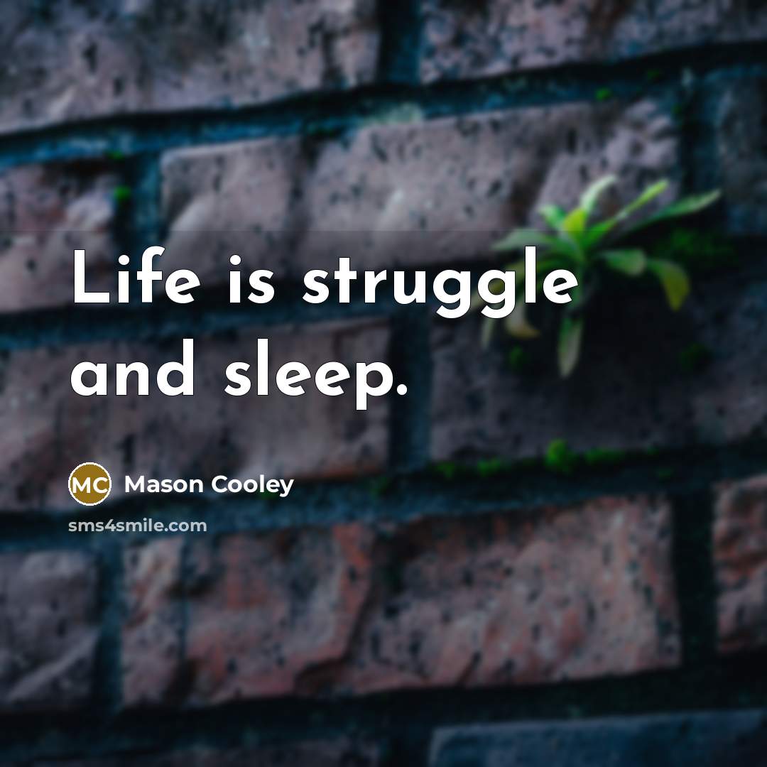 “Life is struggle and sleep.…” quote by Mason Cooley