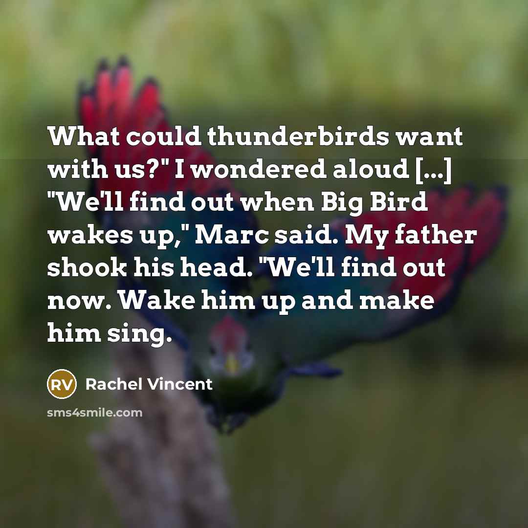 “What could thunderbirds want with us?" I wondered aloud [...]…” quote by Rachel Vincent
