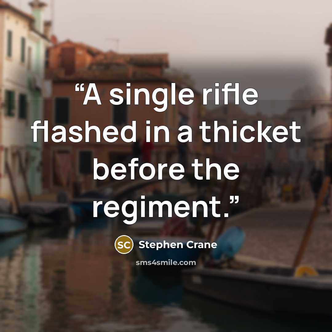 “A single rifle flashed in a thicket before the regiment.” quote by Stephen Crane
