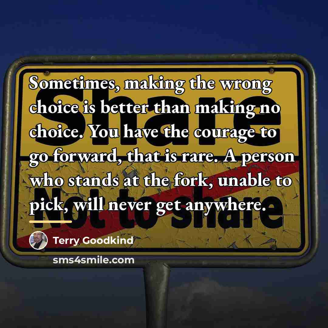 “Sometimes, making the wrong choice is better than making no…” quote by Terry Goodkind