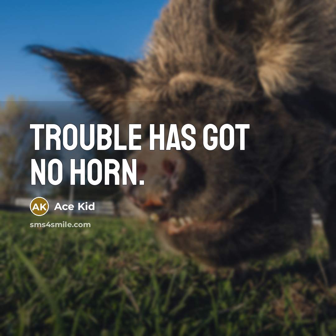 “Trouble has got no horn.” quote by Ace Kid