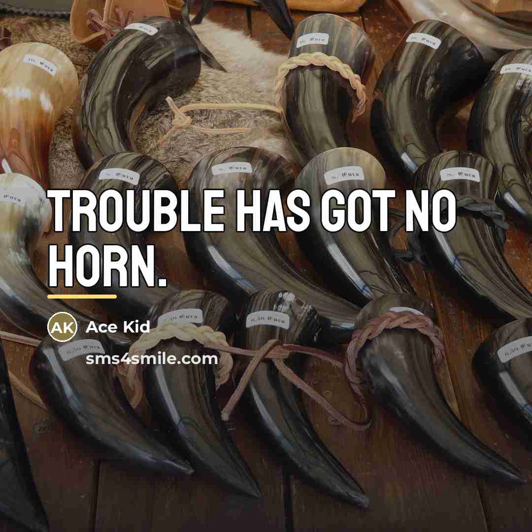 “Trouble has got no horn.…” quote by Ace Kid