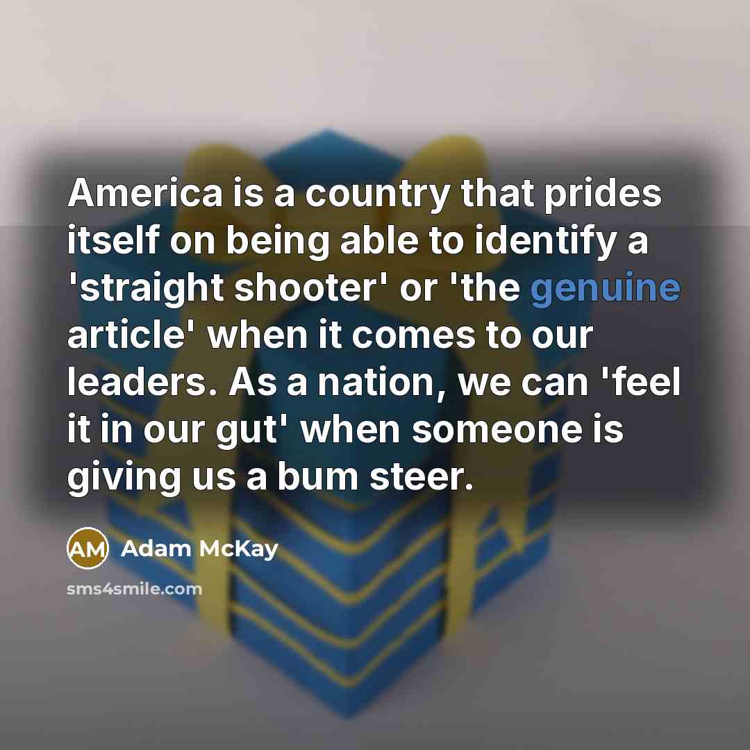 “America is a country that prides itself on being able…” quote by Adam McKay