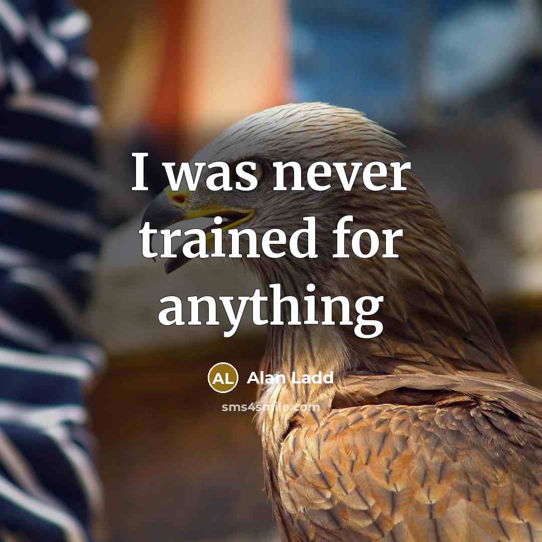 “I was never trained for anything” quote by Alan Ladd
