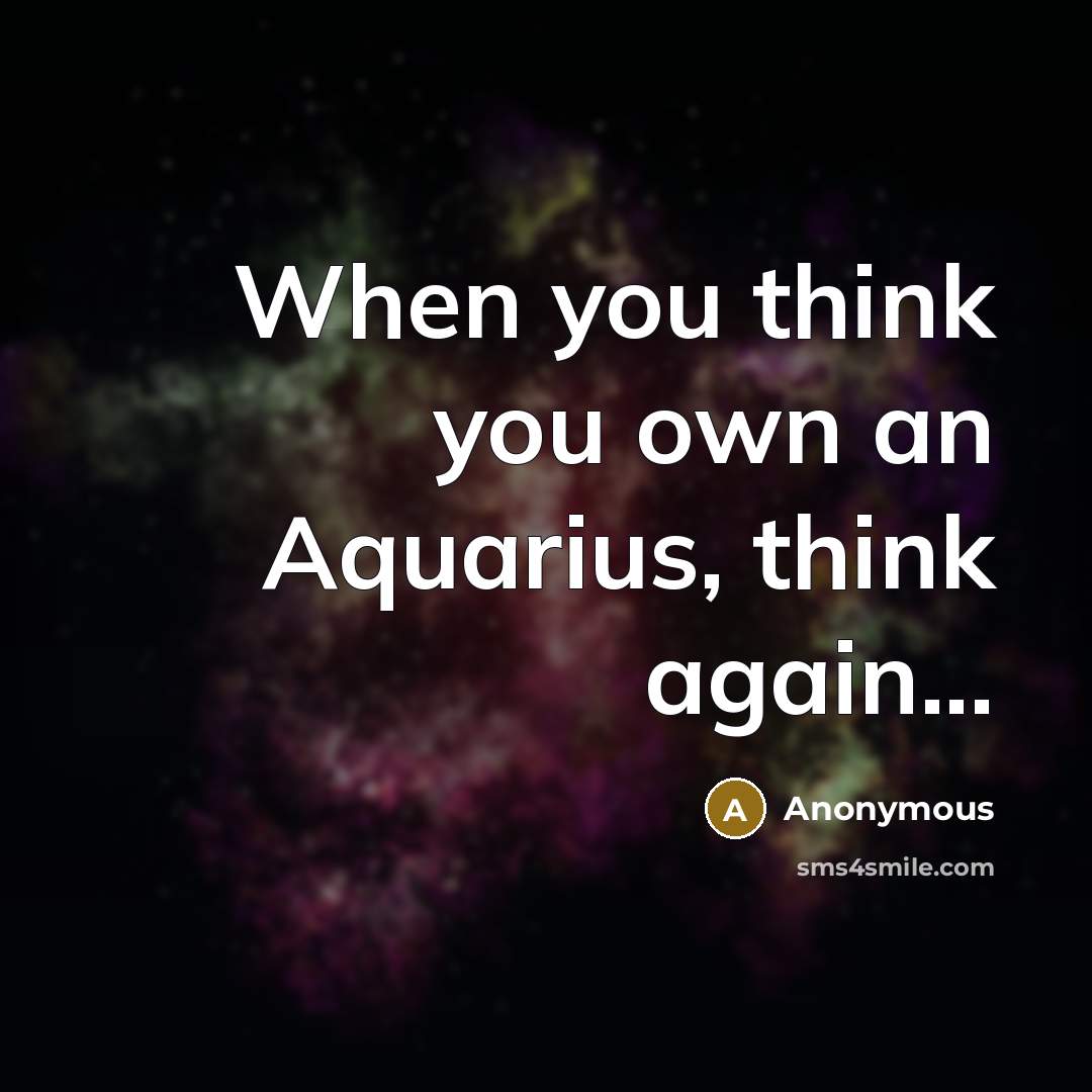 “When you think you own an Aquarius, think again...” quote by Anonymous