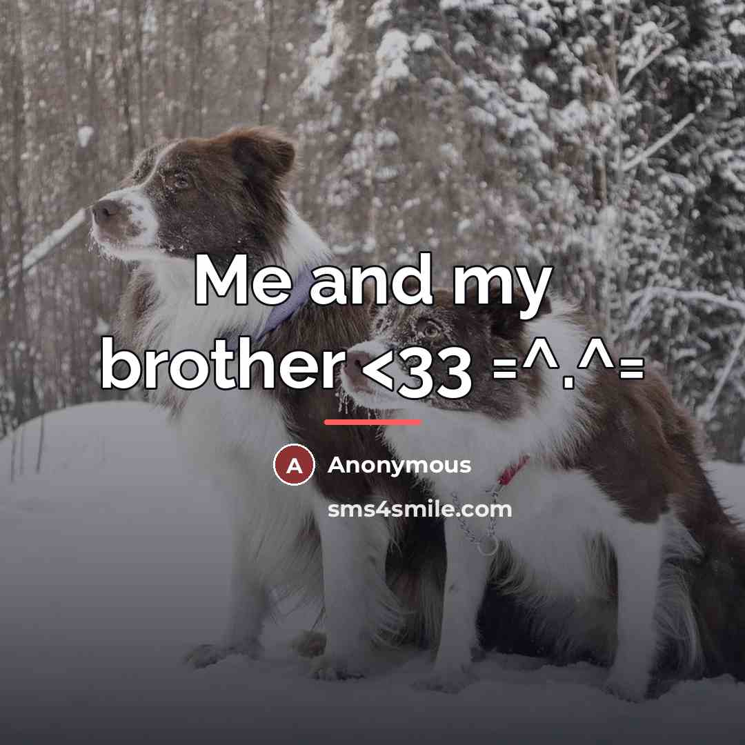 “Me and my brother…” quote by Anonymous