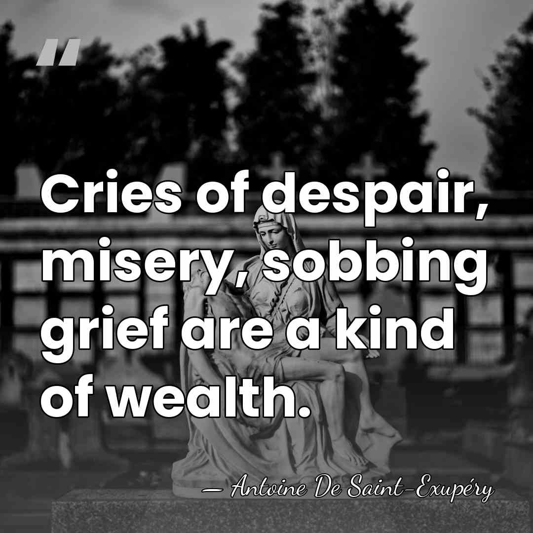 Cries of despair, misery, sobbing grief are a kind of wealth. - Antoine de Saint-Exupery