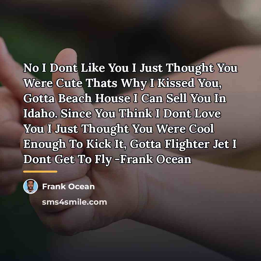 “No I Dont Like You I Just Thought You Were…” quote by Frank Ocean
