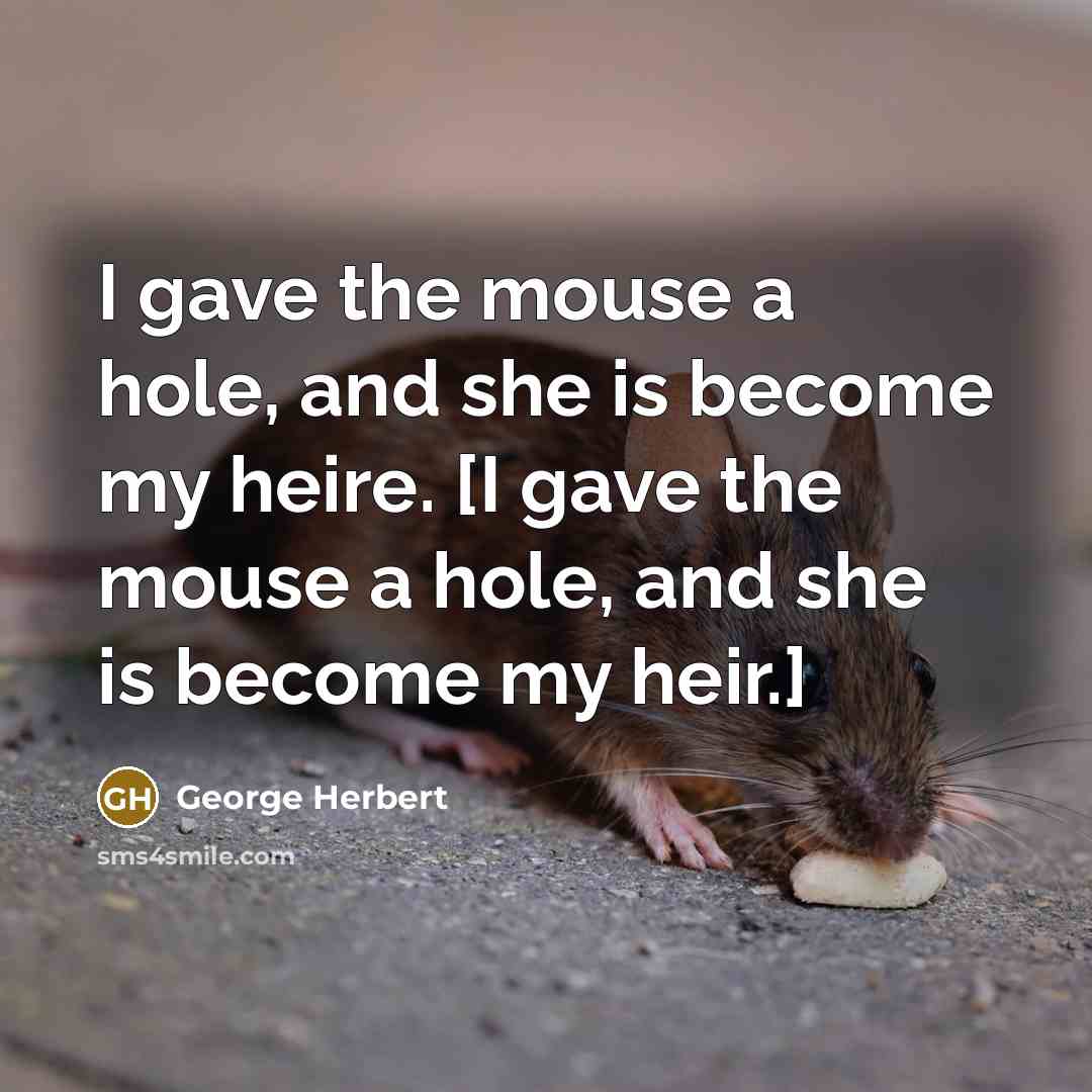 “I gave the mouse a hole, and she is become my heire. [I gave the mouse a hole, and she is become my heir.]” quote by George Herbert