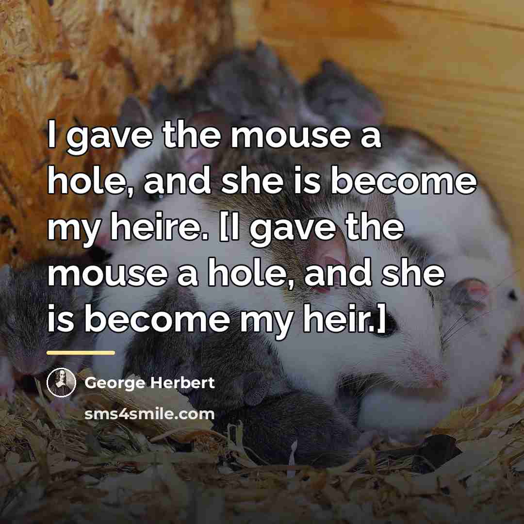 “I gave the mouse a hole, and she is become…” quote by George Herbert